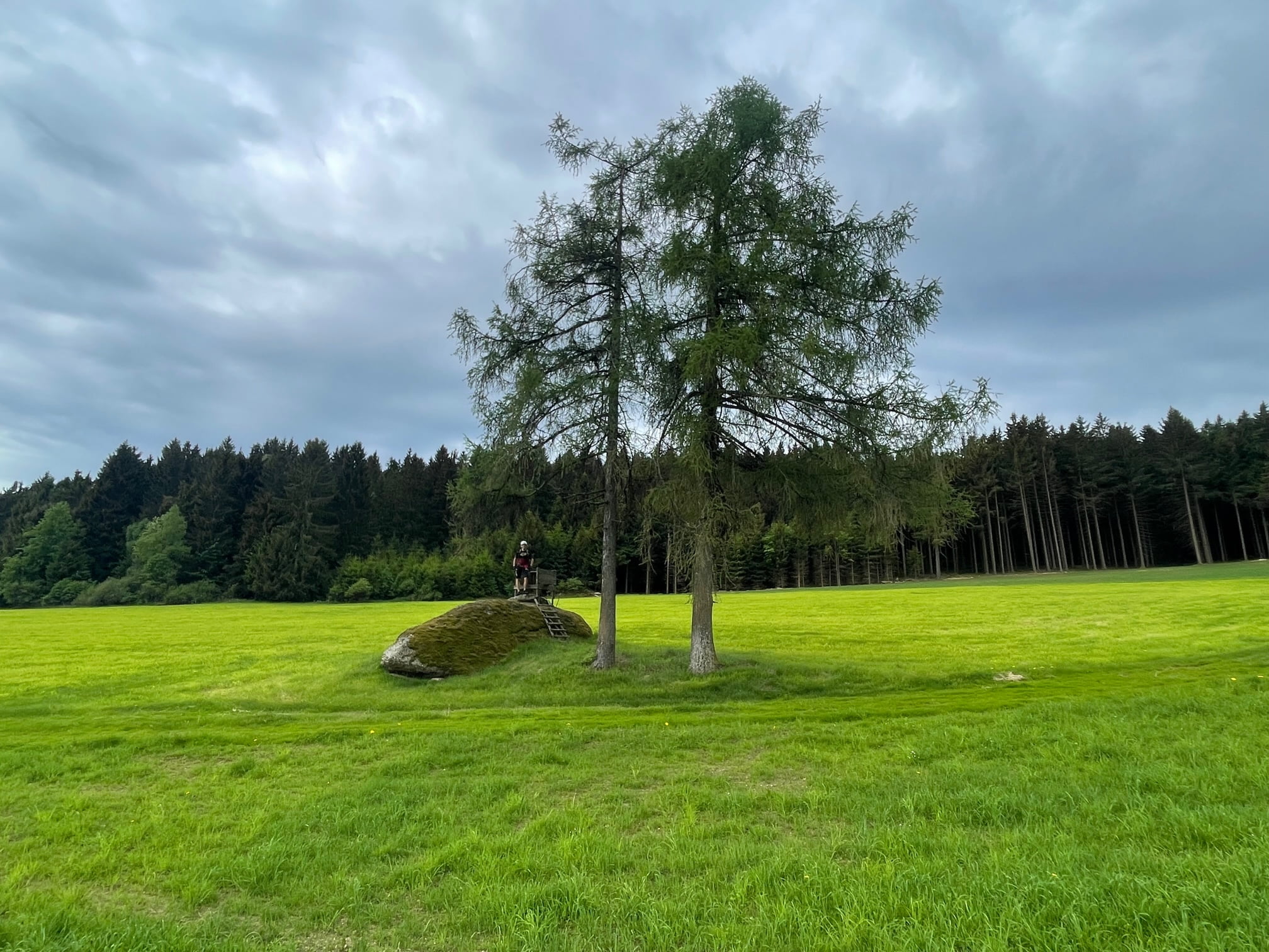 Wiese mit Felsen in der Nähe von Arbesbach