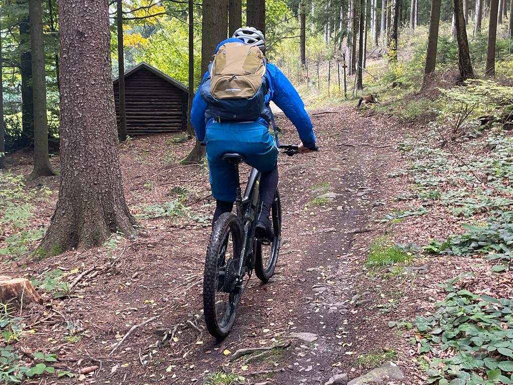 Wälder nahe Scheibenberg.