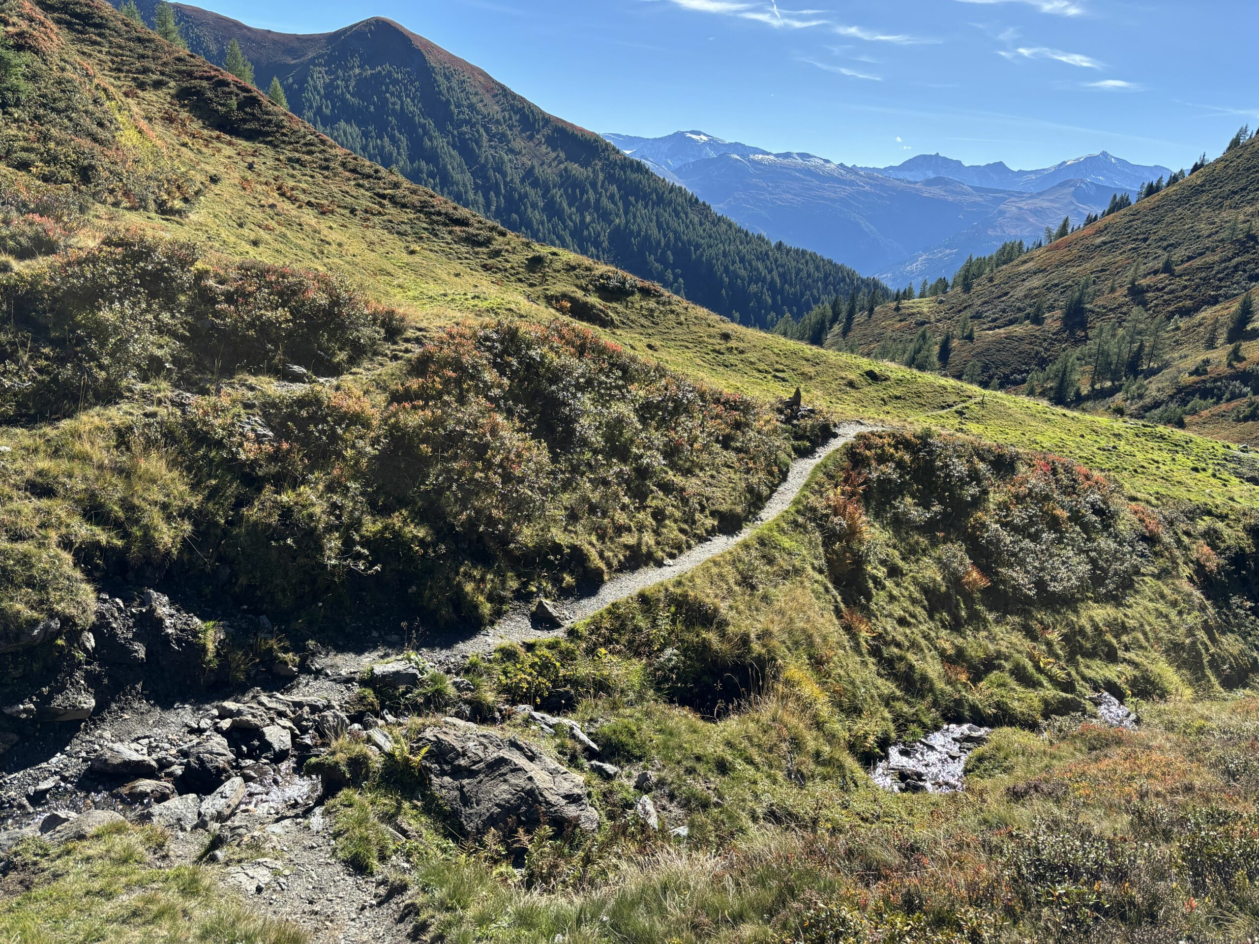 Schmaler Bergpfad durch offene Almhänge, mit Bachquerung, bewaldeten Flanken und weitem Blick auf umliegende Berge unter blauem Himmel.